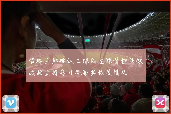 黄蜂主帅确认三球因左踝骨挫伤缺战掘金将每日观察其恢复情况